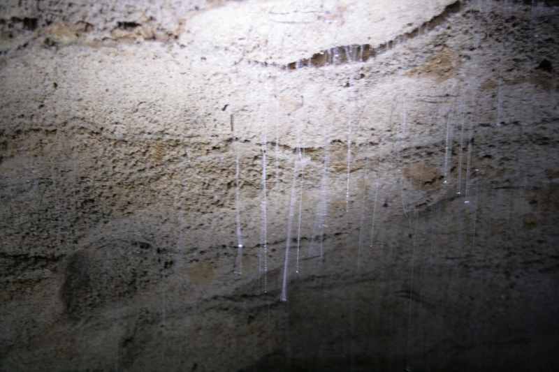 Nieuw-Zeeland 2011 - 0543